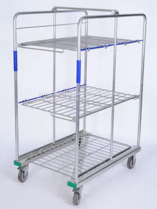 Roll Cage