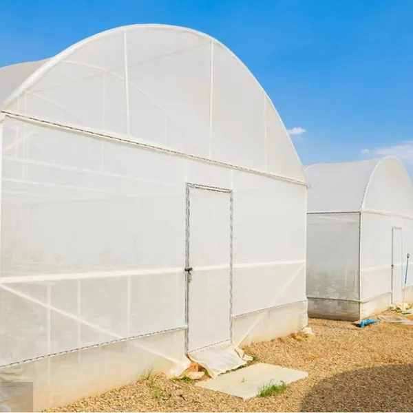 Greenhouse UV Treated Anti Insect Net 100% HDPE Mesh 40 50 Insect Net