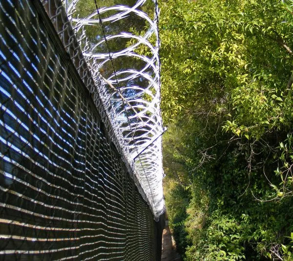 Stretched Ribbon Barbed Wire CoilsbRazor Barbed Wire for Farm Fence photo-3