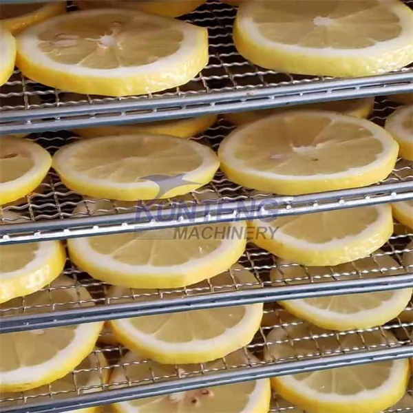 Commercial Dried Apple Chip Drying Machine Mango Pulp Dryer Machine Kiwi Fruit Dryers photo-4