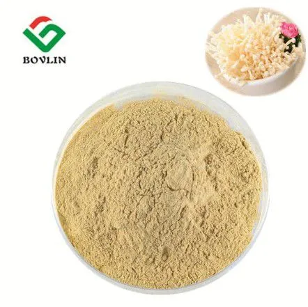 Enoki Mushroom Powder
