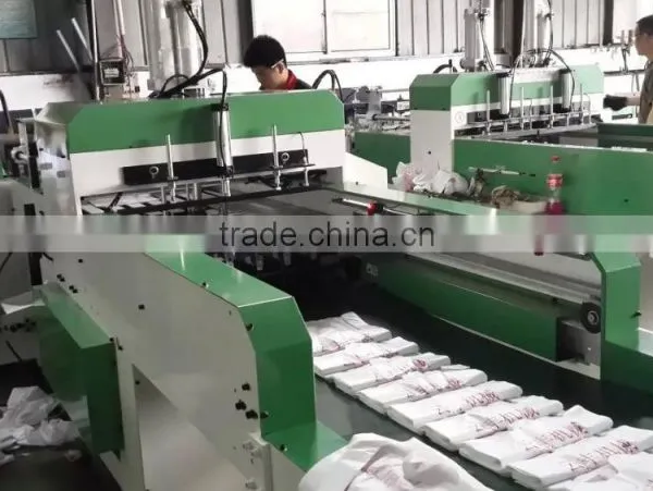 Little Cost Price Plastic Bag Making Machine photo-5