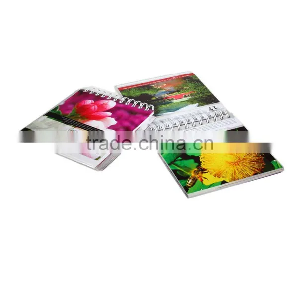 China Supplier 2015 Calendar, Calendar Printing, Desk Calendar photo-5