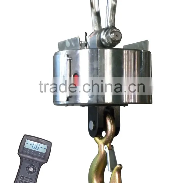 Hanging Scale