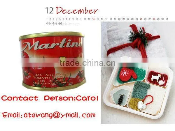 Sell 70gm Canned Tomato Paste