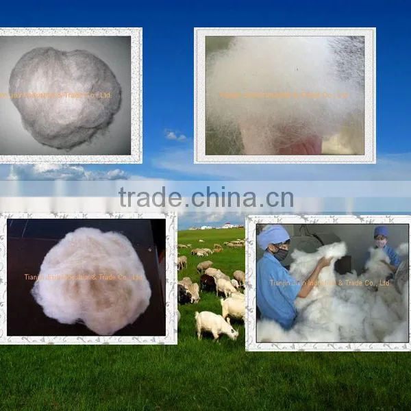 100% Wool White Dehaired Cashmere photo-4