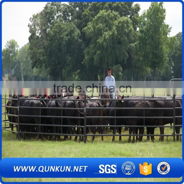 Best Selling Products Auatralia Standard Cattle Panels /sheep Panels photo-6