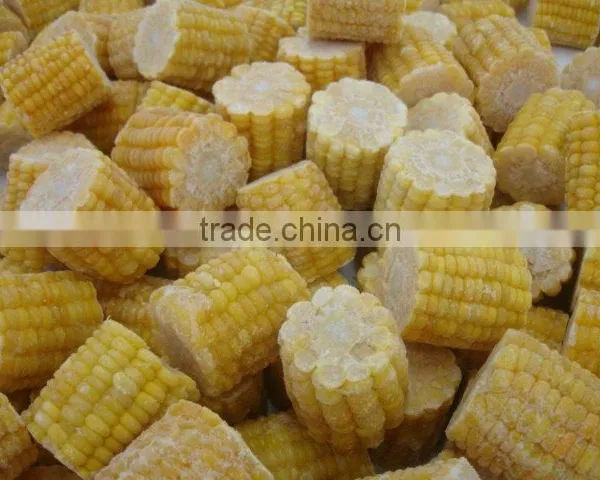 FROZEN SWEET CORN COB