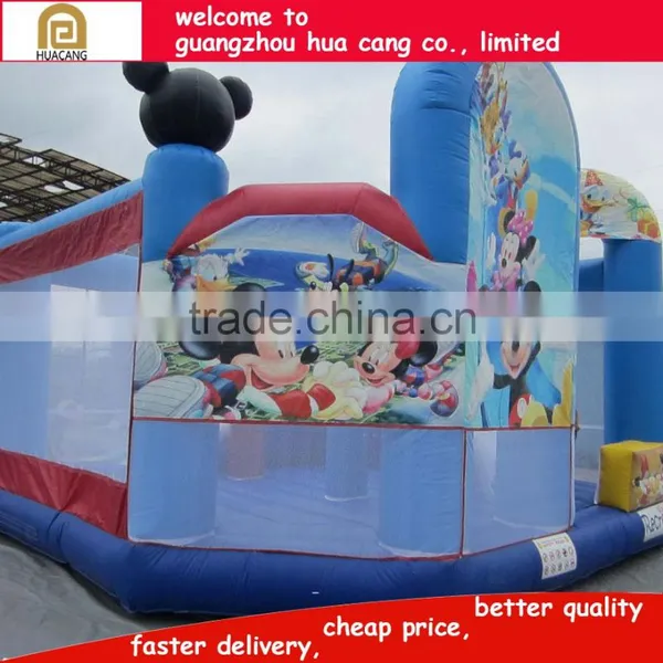 2016 High Quality Inflatable Playground, Mini Bouncer for Sale Lowest Price photo-5