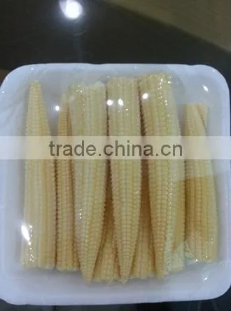 Organic Fresh Baby Sweet Corn photo-3