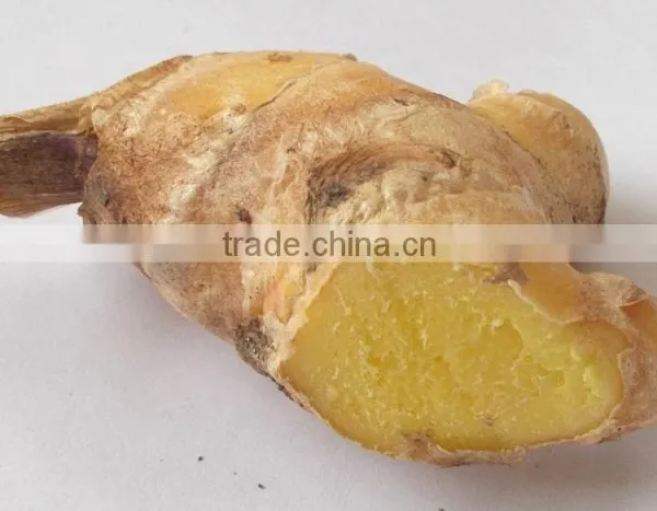 BEST PRICE VIETNAM FRESH GINGER
