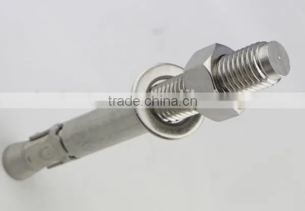 Stainless Steel Wedge Anchor photo-3