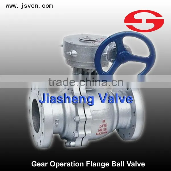Gear Operation WCB Flange Ball Valve PN16 photo-6