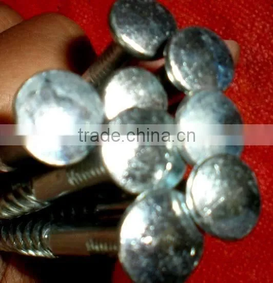 Ethiopia Market Good Quanlity Galvanized Twisted Nails photo-6