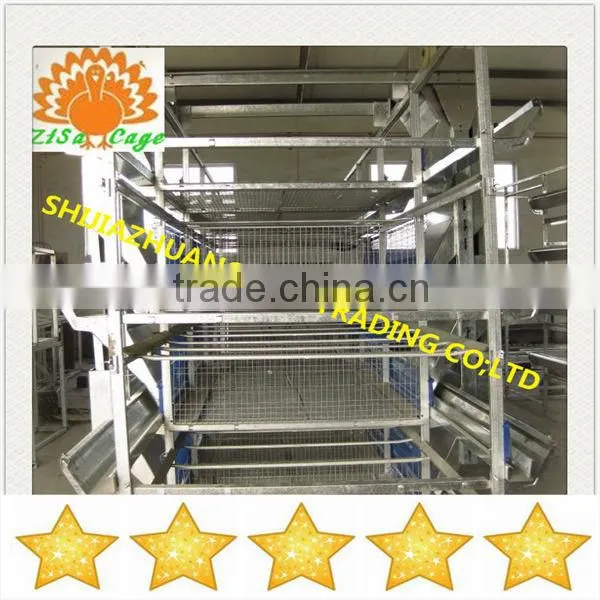 Full-automatic Farme Layer Chicken Cages