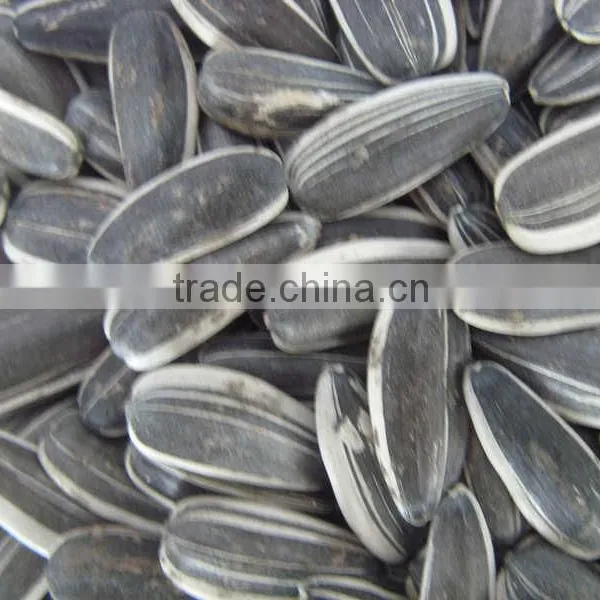 Sunflower Seeds 0409 in 2015 New Crop