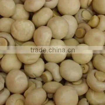 Canned Food Canned Champignon Canned Mushroom/champignon photo-5