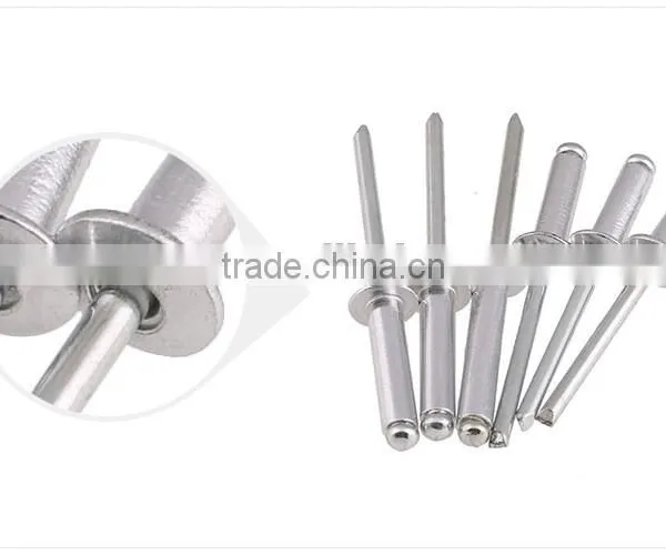 Rivet/blind Rivet/stainless Steel Blind Rivet photo-5