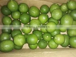 FRESH LEMON FROM SOUTH AFRICA photo-2