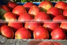 Fresh Apple