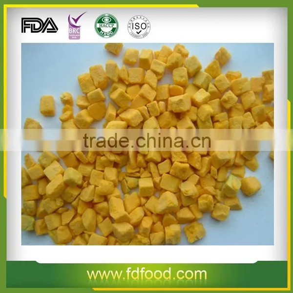 Hot Sale 100% Natural Freeze Dried Pumpkin photo-4