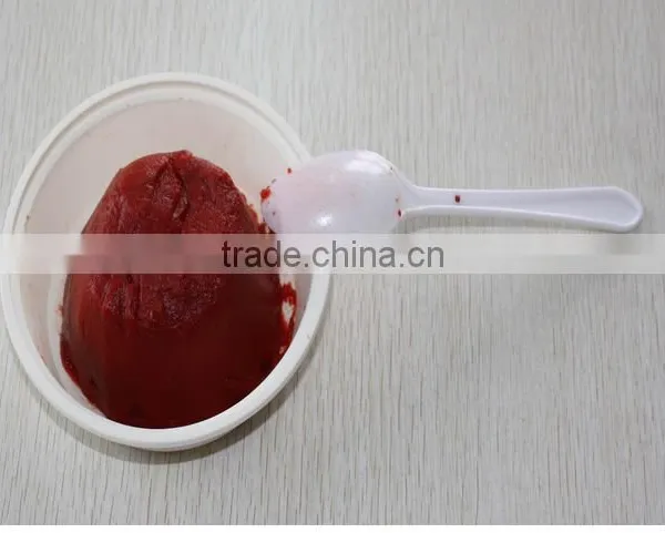 Good Quality Canned Tomato Paste. photo-2