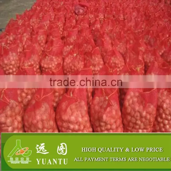 Onion Importers in Quatar/onion Importers in Malaysia/fresh Onion photo-3