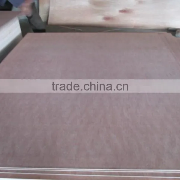 HPL High Pressure Laminated Plywood Poplar/ Hardwood/combic/eucailptus/birch Plywood photo-6