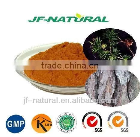 100% Natural Pine Bark Extract Proanthocyanidins 95% photo-2
