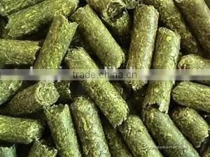 Factory Facture Wood Pelleting Machine/pelletmill photo-5