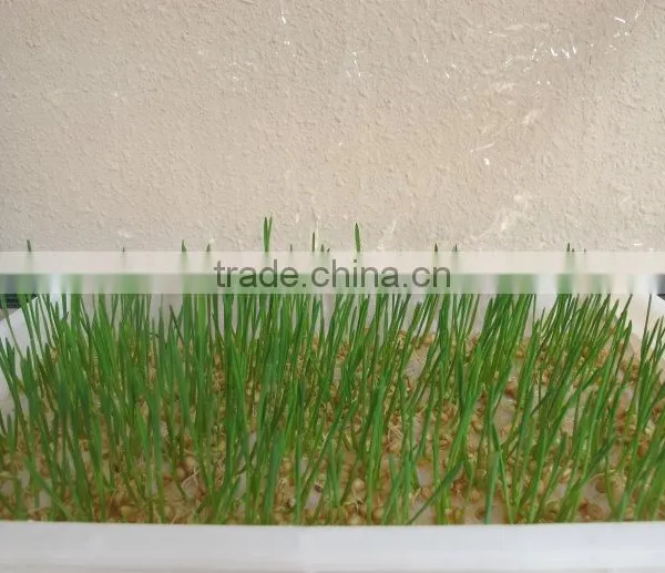 Hydroponic Seeds Germinate Machine/green Fodder Making Barley Breeding Room/hydroponic Bud Seedling Machine photo-3