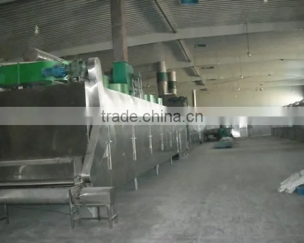Industrial Vegetable and Fruit Carrot Dryer