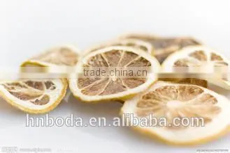Industrial Drying Oven photo-5