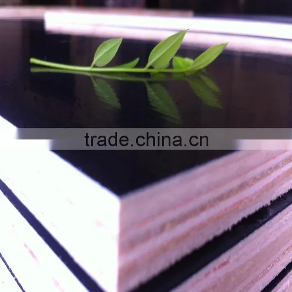 4x8" Waterproof Plywood Brown Film Faced Plywood photo-5