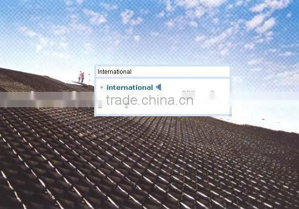 Slope Reinforcement China Reinforced Geocell Retaining Wall photo-5