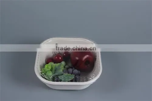 Thermofoamed Fiber Biodegradable Compostable Sugarcane Food Containers/boxes With Lids photo-2