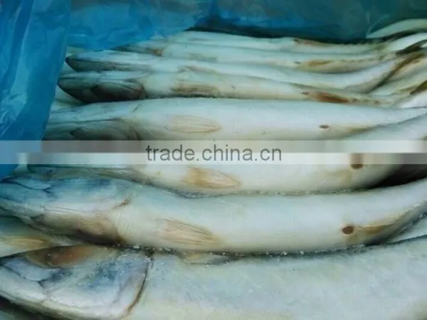 300-500g Frozen Mackerel photo-2