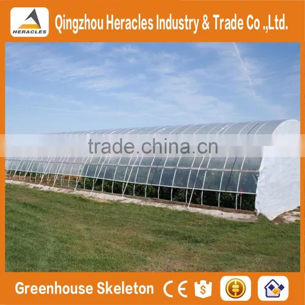 Heracles Trade Assurance Greenhouse Tunnel photo-6