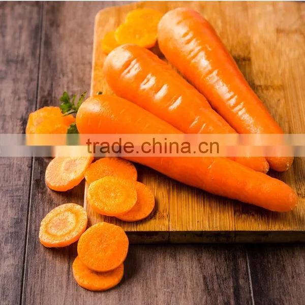 Newest Crop Chinese Fresh Carrots for Sale photo-3