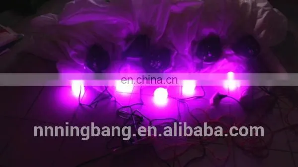 Inflatable Flowers for Event Decoration photo-3