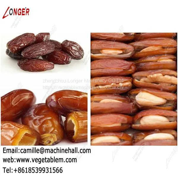 Automatic Fruit Pitting Machine|Electric Cherry Stoner|Dates Seed Removing Machine in India photo-5