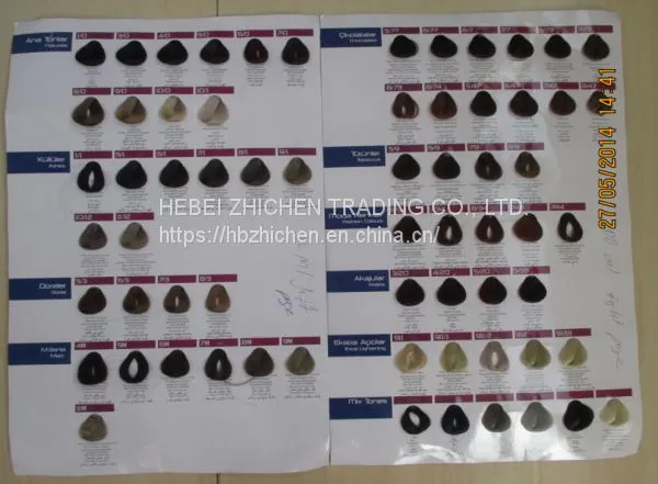 Customized Hair Color Catalogue Maker photo-3