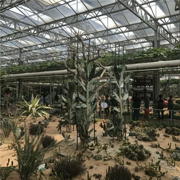 Multispan Plastic Film Greenhouse for Large-Scale Flower Production photo-5