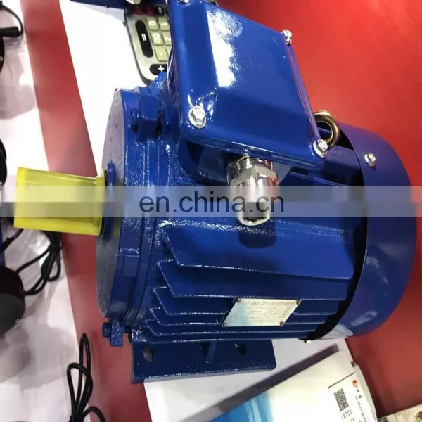 Induction Motor 60kw photo-3
