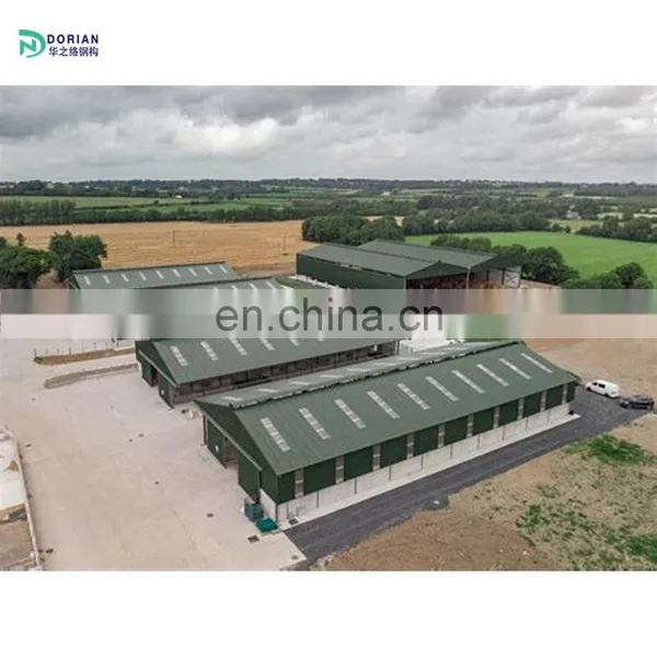Farm Construction Chicken House for 3000 Chicken photo-5