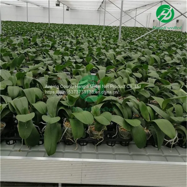 Benches for Greenhouse Easily Assembled Hydroponic Flood Ebb and Flow Nursery Table Rolling Bench photo-5