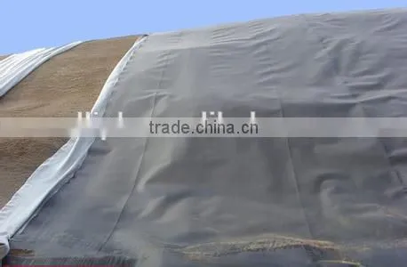Hdpe Geomembrane/ Black Plastic Sheeting Pond Liner photo-5