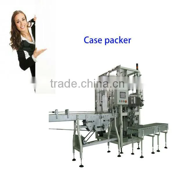 Computerized Case Packer From China