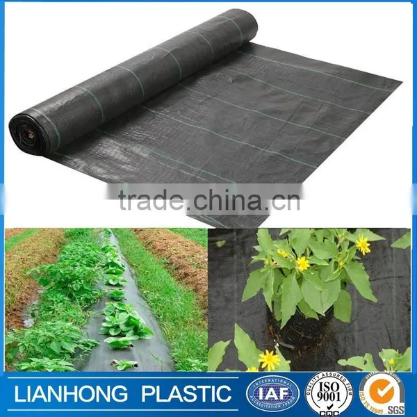 Weed Control Fabric Ground Cover Membrane Landscape Mulch Garden 100gsm 2M*200M