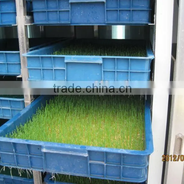 Hydroponics Animal Fodder Machine is Full Automatic Wheat, Barley, Alfalfa photo-3